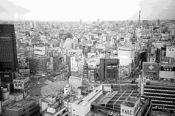 "Электронный город" - токийский рынок электронной техники"